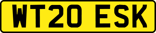 WT20ESK