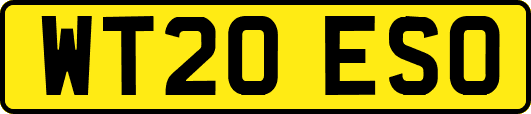 WT20ESO