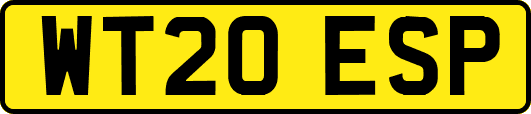 WT20ESP
