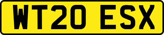 WT20ESX