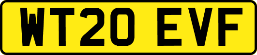 WT20EVF