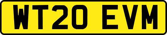 WT20EVM