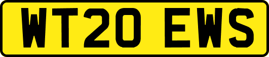 WT20EWS