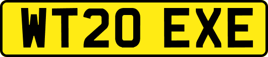 WT20EXE