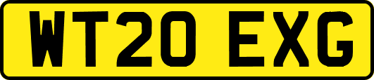 WT20EXG