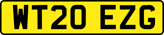 WT20EZG