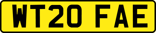 WT20FAE