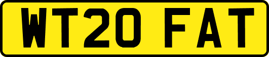 WT20FAT