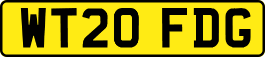 WT20FDG