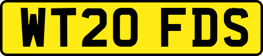 WT20FDS