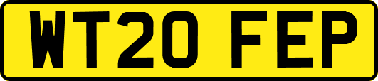 WT20FEP