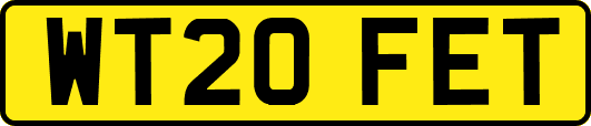 WT20FET
