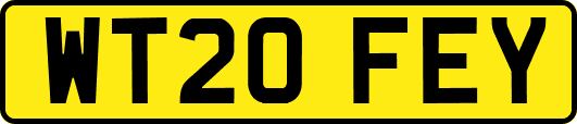 WT20FEY
