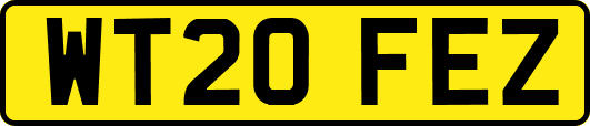 WT20FEZ