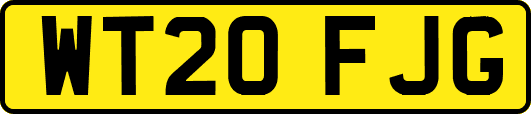 WT20FJG