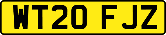 WT20FJZ