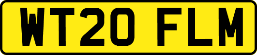WT20FLM