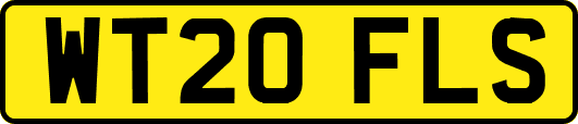 WT20FLS