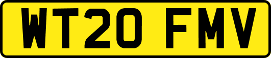 WT20FMV
