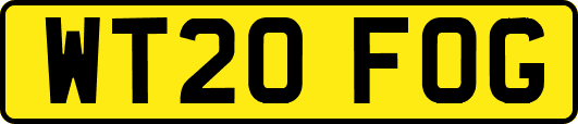WT20FOG