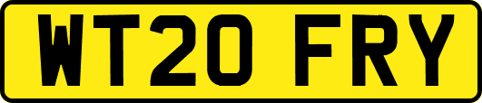WT20FRY