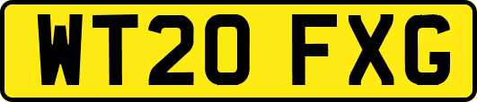 WT20FXG