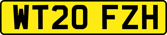 WT20FZH