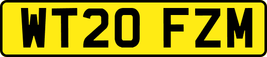 WT20FZM