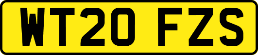 WT20FZS