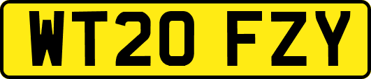 WT20FZY