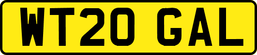 WT20GAL
