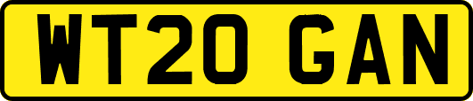WT20GAN