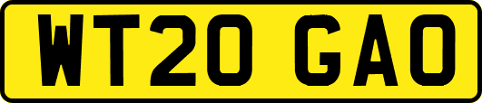 WT20GAO