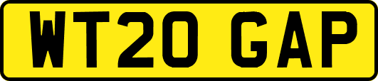 WT20GAP