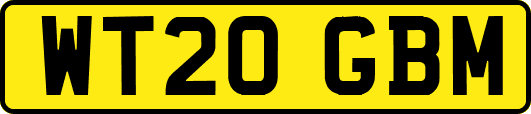 WT20GBM