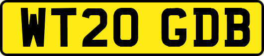 WT20GDB