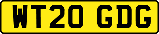 WT20GDG