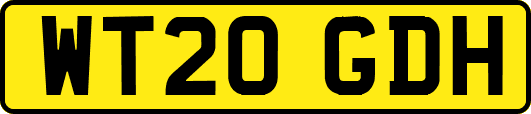 WT20GDH