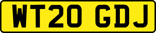 WT20GDJ