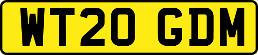 WT20GDM