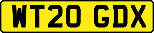 WT20GDX