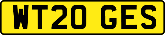 WT20GES