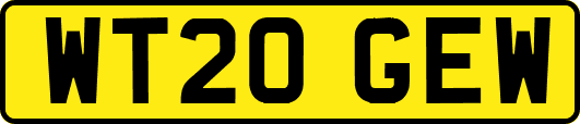 WT20GEW
