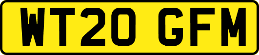 WT20GFM