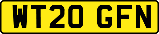 WT20GFN