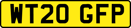 WT20GFP