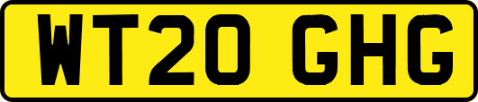 WT20GHG