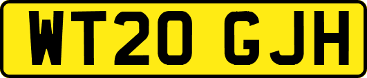 WT20GJH