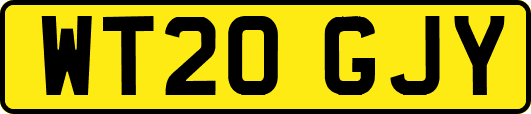 WT20GJY