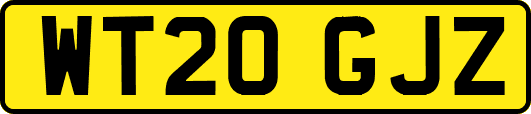WT20GJZ